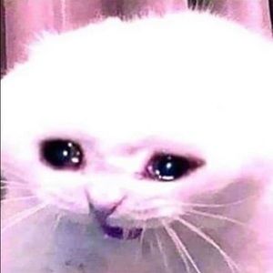 Meet your Posher, Bibina